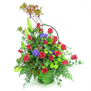 �󼼳��뺸��