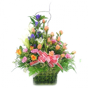 �󼼳��뺸��