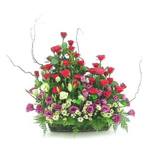 �󼼳��뺸��