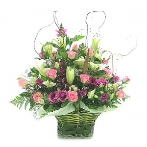 �󼼳��뺸��