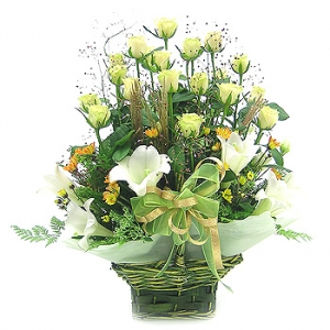 �󼼳��뺸��