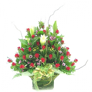 �󼼳��뺸��