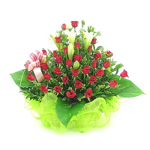 �󼼳��뺸��