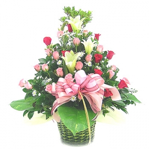 �󼼳��뺸��