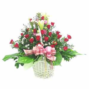 �󼼳��뺸��