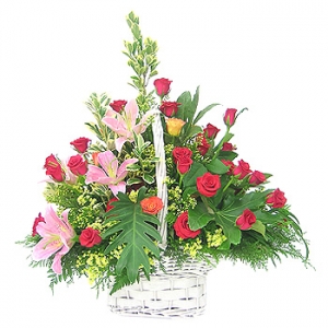 �󼼳��뺸��