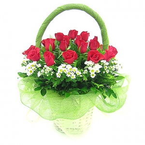 �󼼳��뺸��