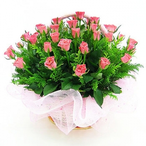 �󼼳��뺸��