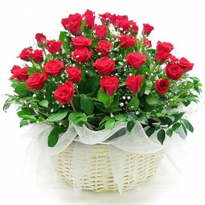 �󼼳��뺸��