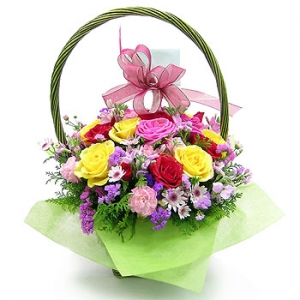 �󼼳��뺸��