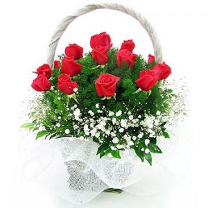 �󼼳��뺸��