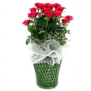 �󼼳��뺸��