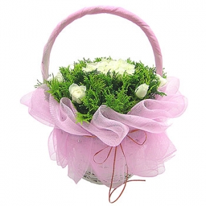 �󼼳��뺸��