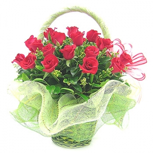 �󼼳��뺸��