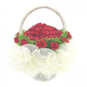 �󼼳��뺸��