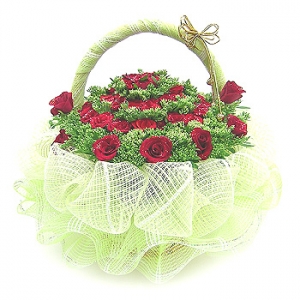 �󼼳��뺸��