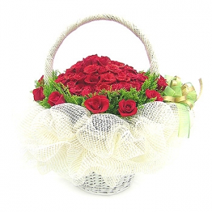 �󼼳��뺸��