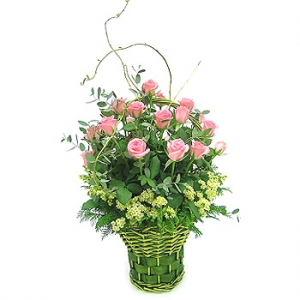 �󼼳��뺸��