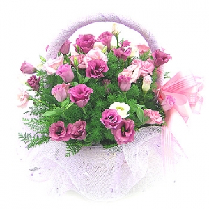 �󼼳��뺸��