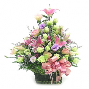 �󼼳��뺸��