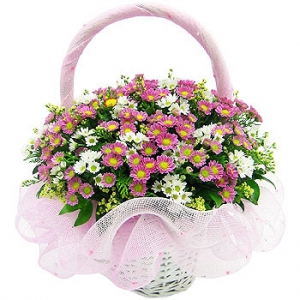 �󼼳��뺸��