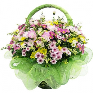 �󼼳��뺸��