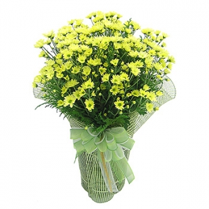 �󼼳��뺸��