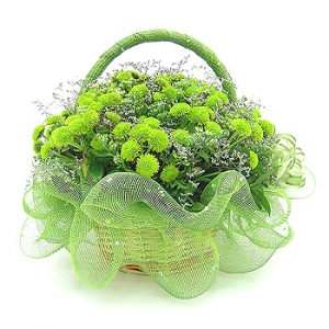 �󼼳��뺸��