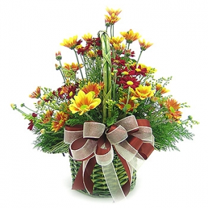 �󼼳��뺸��