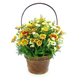 �󼼳��뺸��