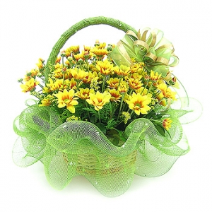 �󼼳��뺸��