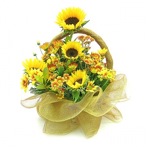 �󼼳��뺸��