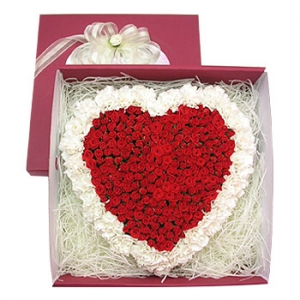 �󼼳��뺸��