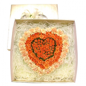 �󼼳��뺸��