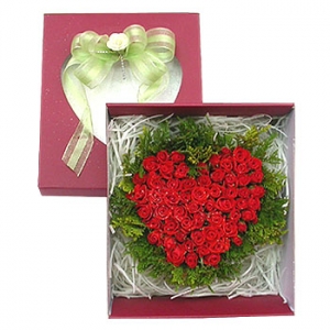 �󼼳��뺸��