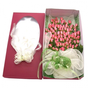 �󼼳��뺸��