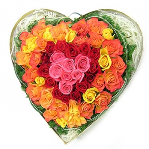 �󼼳��뺸��