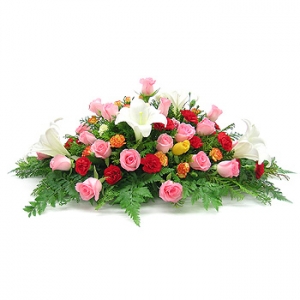 �󼼳��뺸��