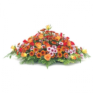 �󼼳��뺸��