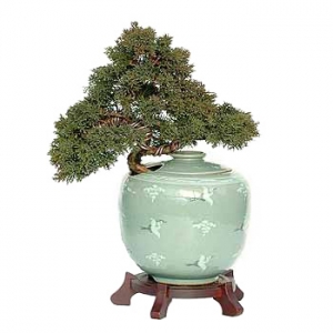 �󼼳��뺸��