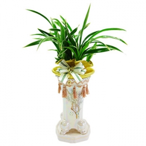 �󼼳��뺸��