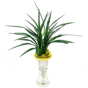 �󼼳��뺸��