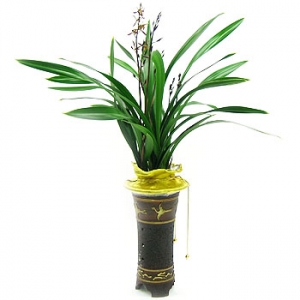 �󼼳��뺸��