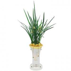 �󼼳��뺸��