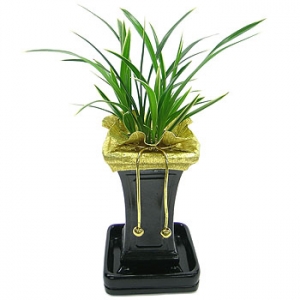 �󼼳��뺸��