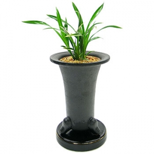 �󼼳��뺸��