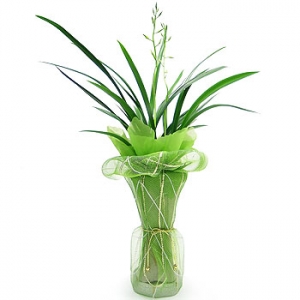 �󼼳��뺸��