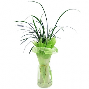 �󼼳��뺸��