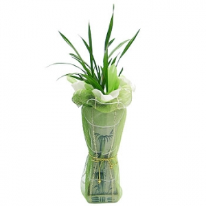 �󼼳��뺸��