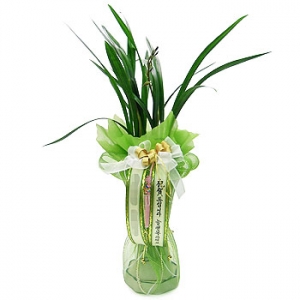 �󼼳��뺸��